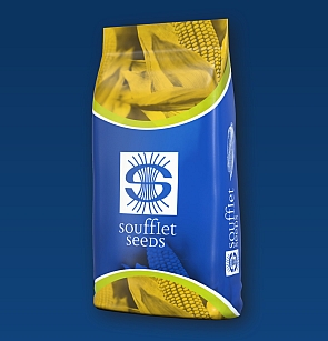 Ponuka kukuríc SOUFFLET SEEDS