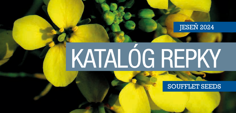 NOVÝ KATALÓG REPKY SOUFFLET SEEDS 2024