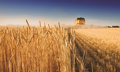 SOUFFLET AGRO vstupuje na slovenský trh